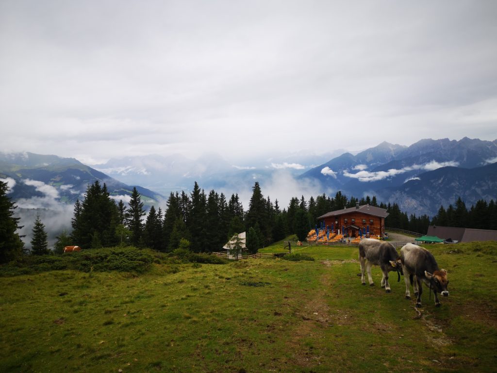 Blick auf die Birgitzer Alm