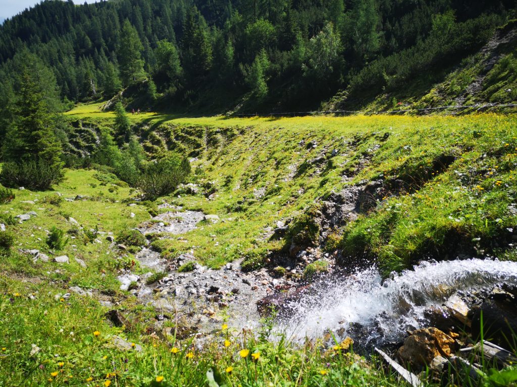 Weg zur Götzner Alm