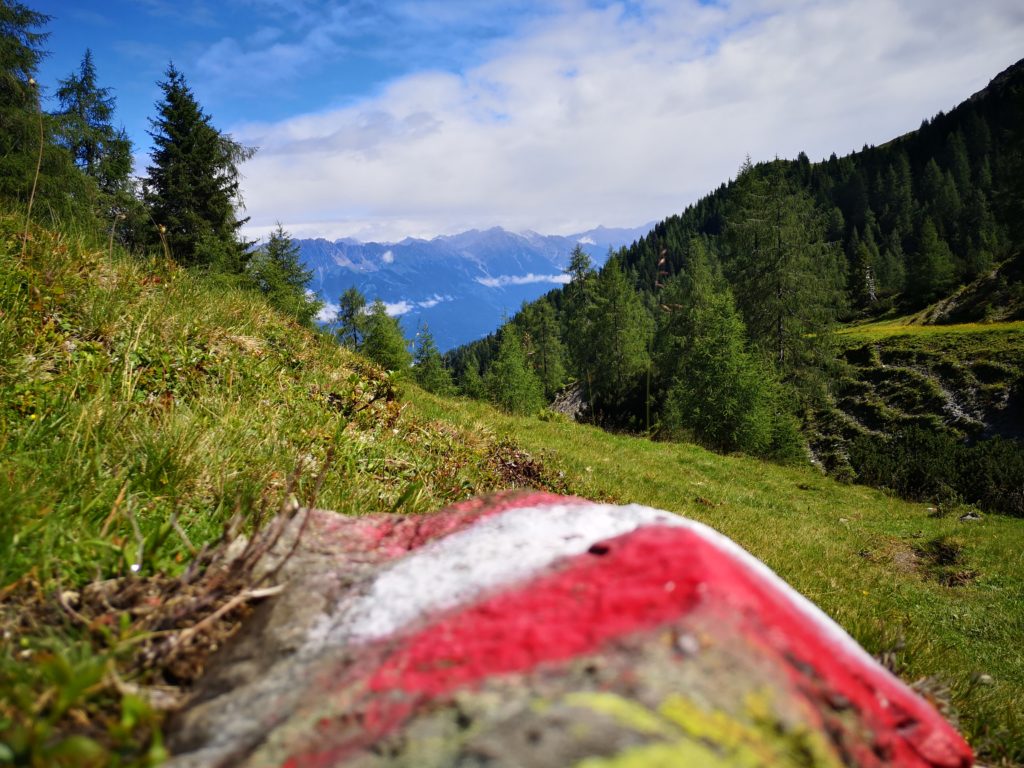 Weg zur Götzner Alm